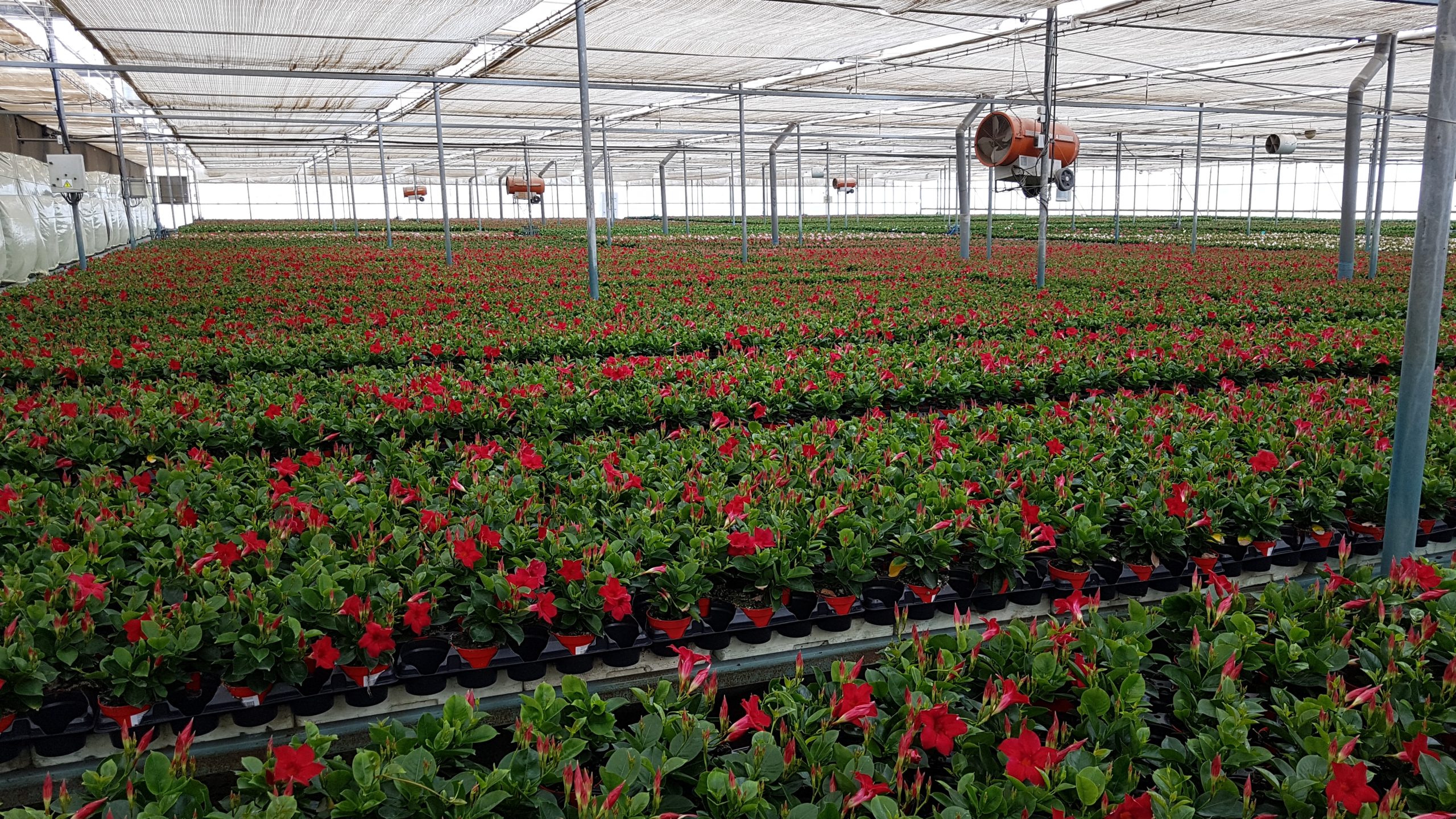 Sürdürülebilir tarım uygulamaları